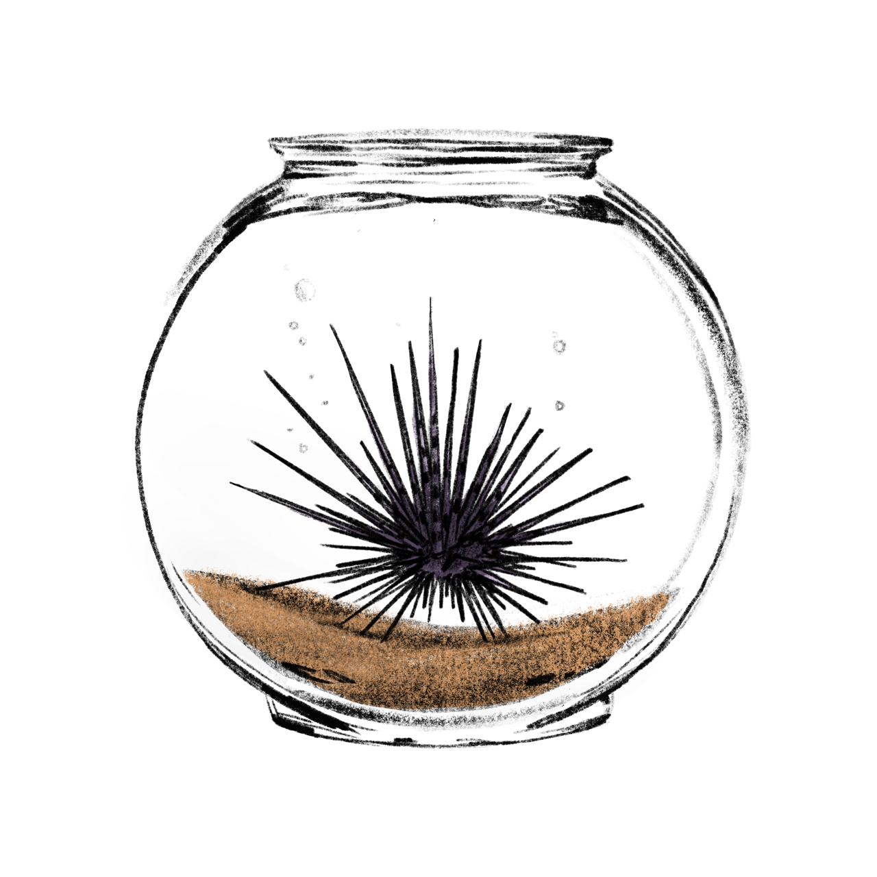 URCHIN "Bowl" Heavy Weight Graphic Tee